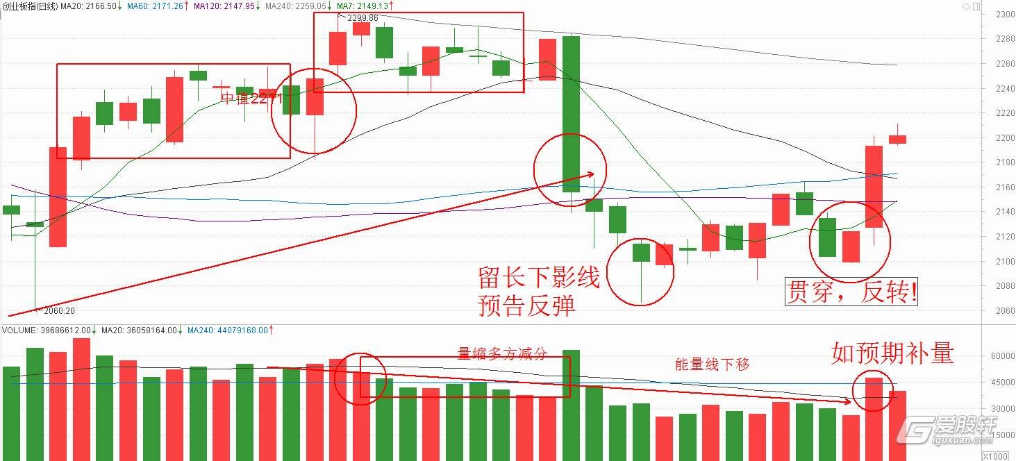 高盛列出25只股票，散户成为支撑美股的关键力量！