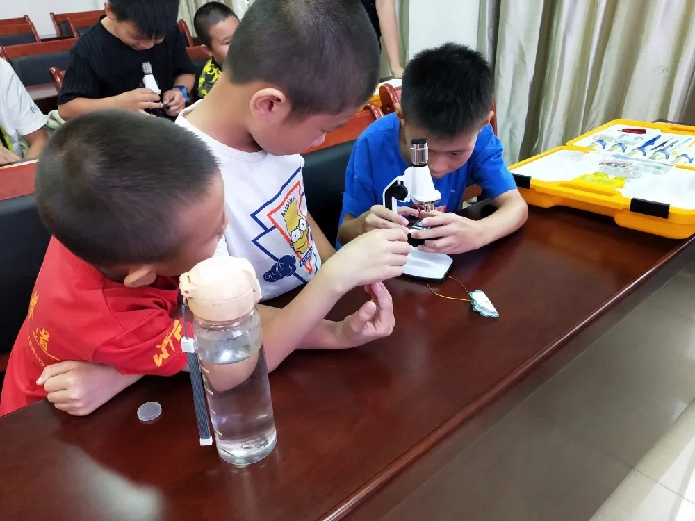 港股午评|恒生指数早盘上涨0.49% 黄金股普遍上扬